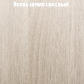 Шкаф-купе «ТАНДЕМ» 2-х дверный в алюминиевом профиле (Дверь К+К) 1200/h2200 в Пуровске - purovsk.ok-mebel.com | фото 6