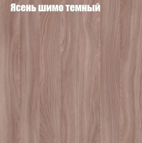 Шкаф-купе «ТАНДЕМ» 2-х дверный в алюминиевом профиле (Дверь К+К) 1200/h2200 в Пуровске - purovsk.ok-mebel.com | фото 7