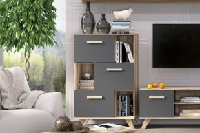 Шкаф низкий с нишами Вега Скандинавия в Пуровске - purovsk.ok-mebel.com | фото 6