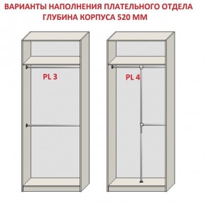 Шкаф распашной серия «ЗЕВС» (PL3/С1/PL2) в Пуровске - purovsk.ok-mebel.com | фото 10