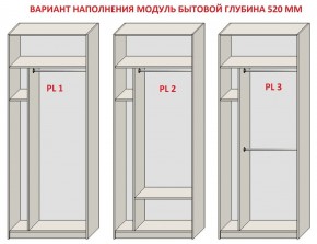 Шкаф распашной серия «ЗЕВС» (PL3/С1/PL2) в Пуровске - purovsk.ok-mebel.com | фото 5