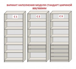 Шкаф распашной серия «ЗЕВС» (PL3/С1/PL2) в Пуровске - purovsk.ok-mebel.com | фото 6