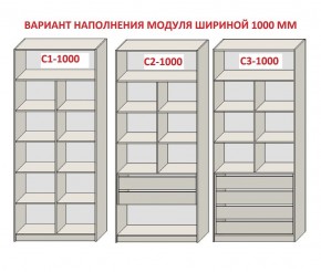 Шкаф распашной серия «ЗЕВС» (PL3/С1/PL2) в Пуровске - purovsk.ok-mebel.com | фото 7