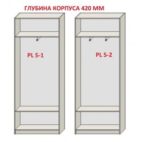 Шкаф распашной серия «ЗЕВС» (PL3/С1/PL2) в Пуровске - purovsk.ok-mebel.com | фото 8