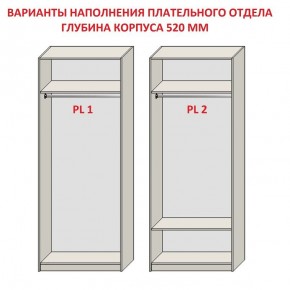 Шкаф распашной серия «ЗЕВС» (PL3/С1/PL2) в Пуровске - purovsk.ok-mebel.com | фото 9