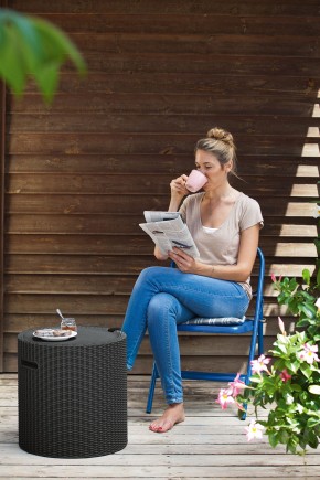 Столик-холодильник Кул-Стул (Cool stool) графит в Пуровске - purovsk.ok-mebel.com | фото