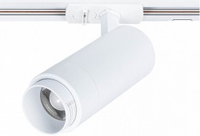 Светильник на штанге Arte Lamp Merak A3530PL-1WH в Пуровске - purovsk.ok-mebel.com | фото