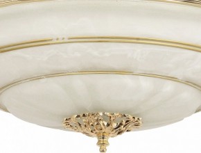 Светильник на штанге Arti Lampadari Pavia Pavia E 1.13.P40 G в Пуровске - purovsk.ok-mebel.com | фото 3