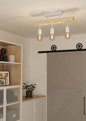 Светильник на штанге Eglo TOWNSHEND 44082 в Пуровске - purovsk.ok-mebel.com | фото 2