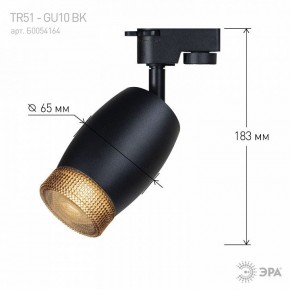 Светильник на штанге Эра  TR51 - GU10 BK в Пуровске - purovsk.ok-mebel.com | фото 4