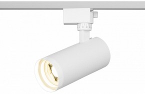 Светильник на штанге Эра  TR59 - 2040 WH в Пуровске - purovsk.ok-mebel.com | фото 5