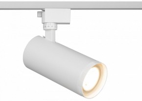 Светильник на штанге Эра  TR59 - 3030 WH в Пуровске - purovsk.ok-mebel.com | фото
