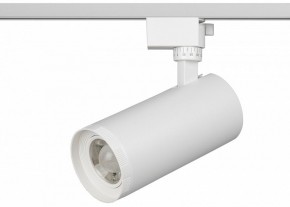 Светильник на штанге Эра  TR59 - 3030 WH в Пуровске - purovsk.ok-mebel.com | фото 2