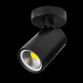 Светильник на штанге Lightstar Rullo 213407 в Пуровске - purovsk.ok-mebel.com | фото 2