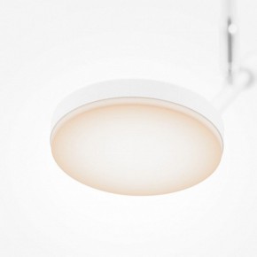 Светильник на штанге Maytoni Fad MOD070CL-L8W3K в Пуровске - purovsk.ok-mebel.com | фото 4