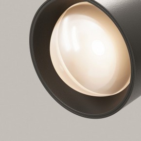 Светильник на штанге Maytoni Lens TR217-2-15W3K-B в Пуровске - purovsk.ok-mebel.com | фото 12
