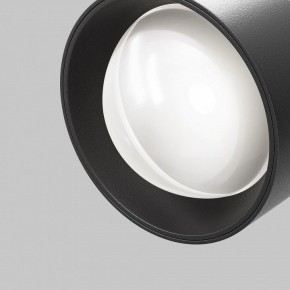 Светильник на штанге Maytoni Lens TR217-2-15W4K-B в Пуровске - purovsk.ok-mebel.com | фото 10