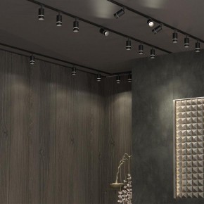 Светильник на штанге Novotech Elina 370777 в Пуровске - purovsk.ok-mebel.com | фото 4