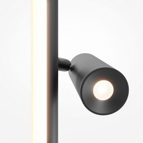 Торшер Maytoni Thin MOD395FL-L28B3K в Пуровске - purovsk.ok-mebel.com | фото 6