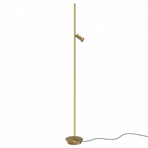 Торшер Maytoni Thin MOD395FL-L28BS3K в Пуровске - purovsk.ok-mebel.com | фото