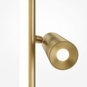 Торшер Maytoni Thin MOD395FL-L28BS3K в Пуровске - purovsk.ok-mebel.com | фото 5