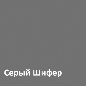 Юнона Шкаф торцевой 13.221 в Пуровске - purovsk.ok-mebel.com | фото 2